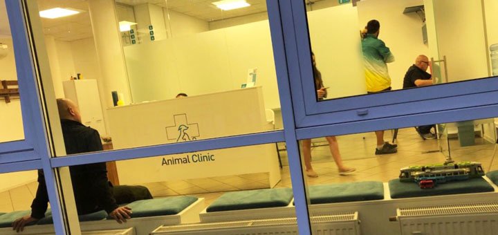 Appointment to the veterinarian in the center "Animal Clinic" in Kiev. Bring your pet for the promotion.