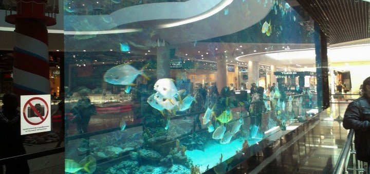 «Ocean Plaza» - скидки и акции