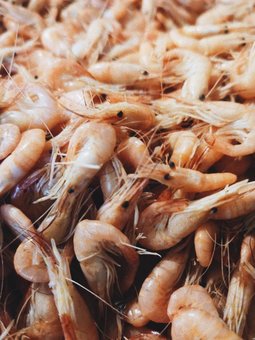 Chernomorka fish shop kiev: promotions