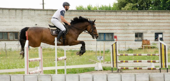 Lemberg Horse Club скидки и акции
