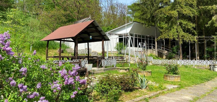 Hotel Lesnaya Dacha in Transcarpathia. Book with promotion 3