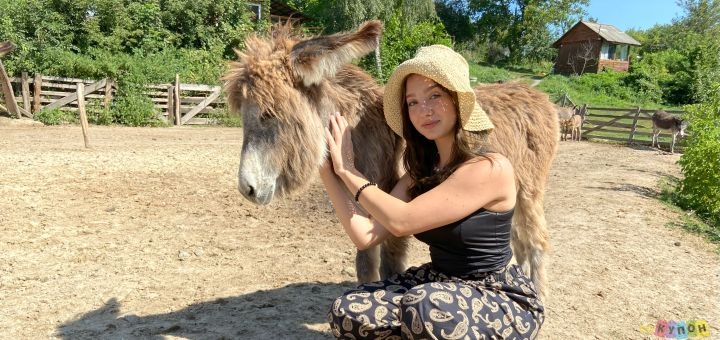 Osloff donkey farm near Kiev, donkey against the sky