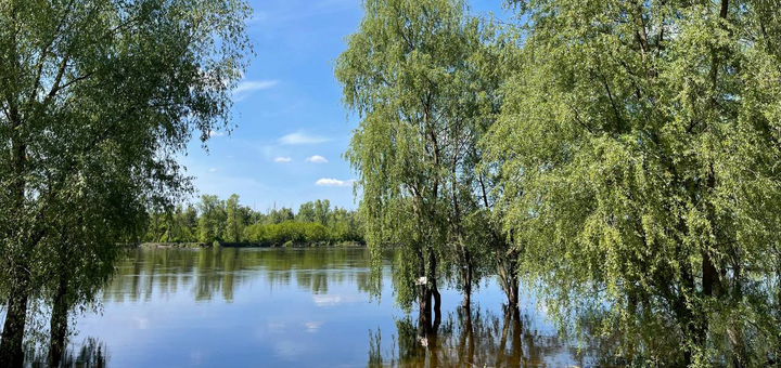 База відпочинку Літки. Бронюйте за акцією 119