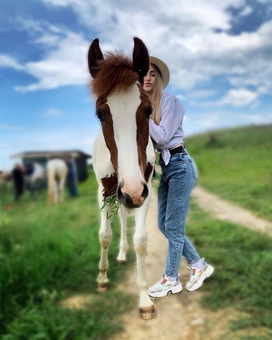 Конный клуб Horsecamp, прогулки на лошадях 2