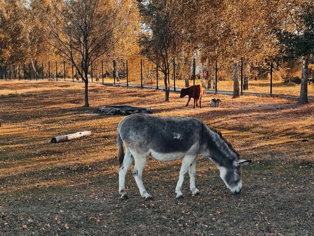 Beremitskoe Nature Park. Visit with t1he discount 5