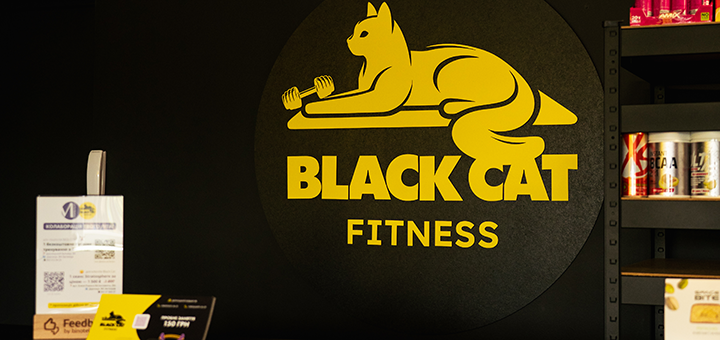 Black cat Fitness gym. Visit with special offer 2
