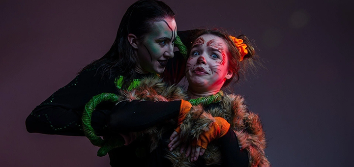 Theater on Solomenka Divny Zamok. Visit for promotion 14