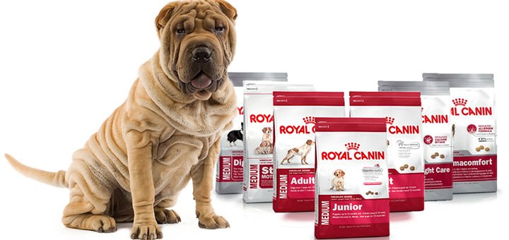 Discounts on dog food from &quot;royal canin&quot;