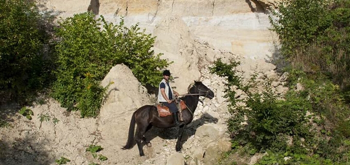 Shenkel Equestrian Club. Visit with special offer 11
