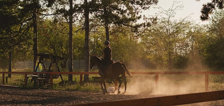 Demos Equestrian Club. Visit with a 2% discount.