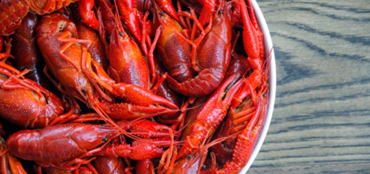Delivery of boiled crayfish «Crayfish» across Kiev and Kiev region. order crayfish to beer for a special offer.