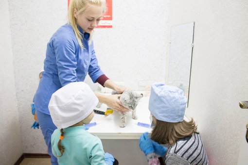 Veterinary master class for children at the Prokhvost veterinary center in Dnipro. Book at a discount.