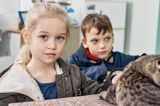 Veterinary master class for children at the Prokhvost veterinary center in Dnipro. Sign up for a discount.