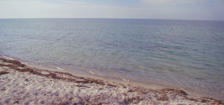 Beach near the hotel complex &quot;black sea&quot;. relax on the action