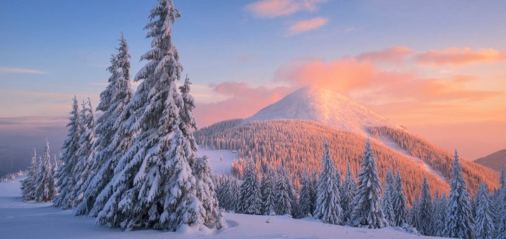 Discounts for rest in the hotel "Karpatski Rosi" in Yaremche12