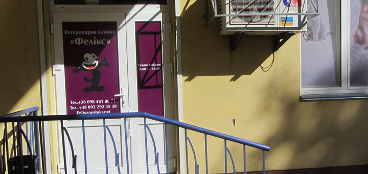 Veterinary clinic «Felix» in Kiev. Sign up the animal for neutering according to the action.