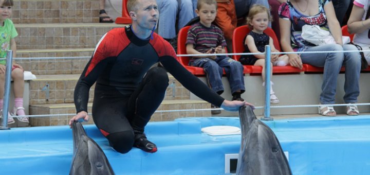 Shares in the Dolphinarium "Nemo".