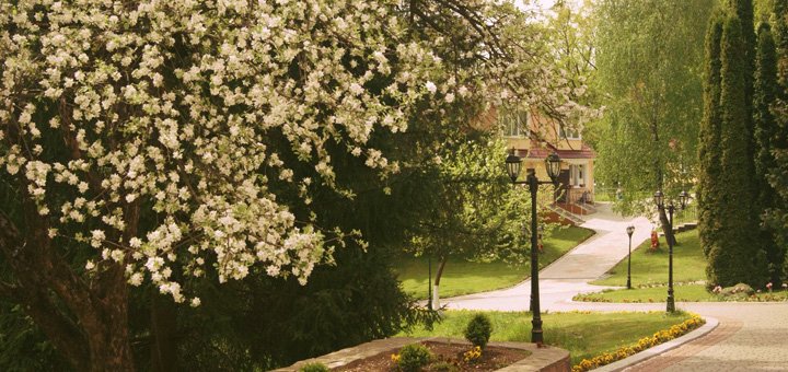 Discounts for rest in the health resort borzhava20