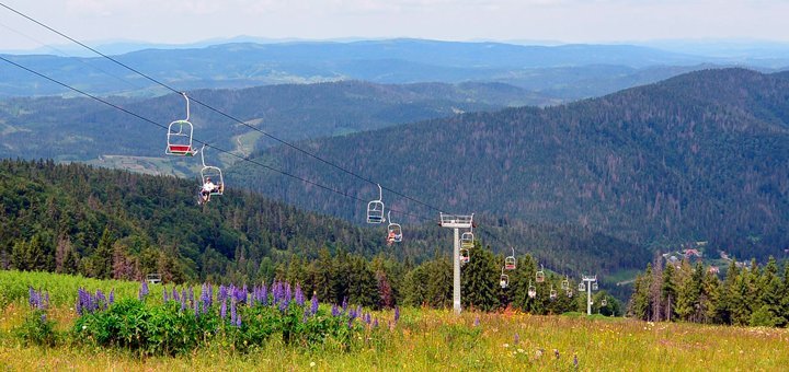 Discounts on holidays at the hotel Truskavets 36517