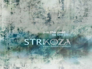 Strikoza (Стрікоза)