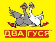 Two geese on Bykova