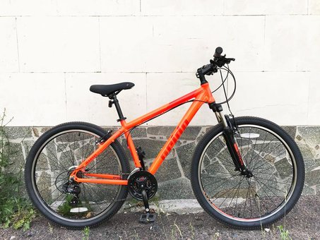 Choice of bicycles - mountain and city