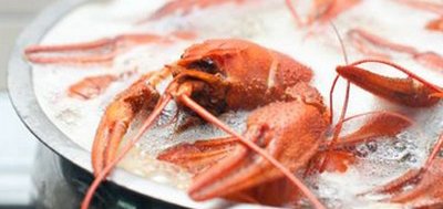 Варим раки за 30 грн/кг. 4 рецепта на ваш выбор